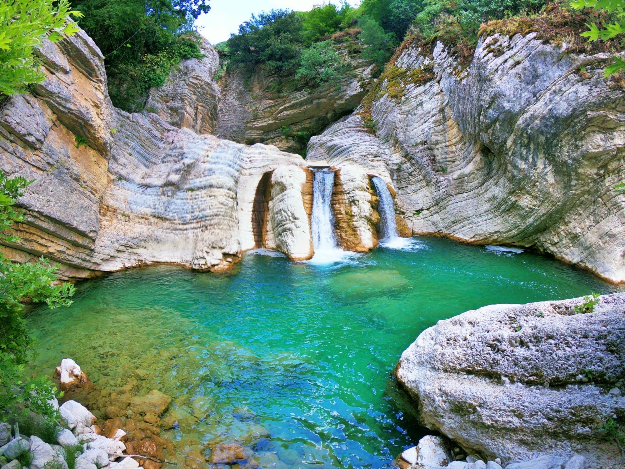 bacola