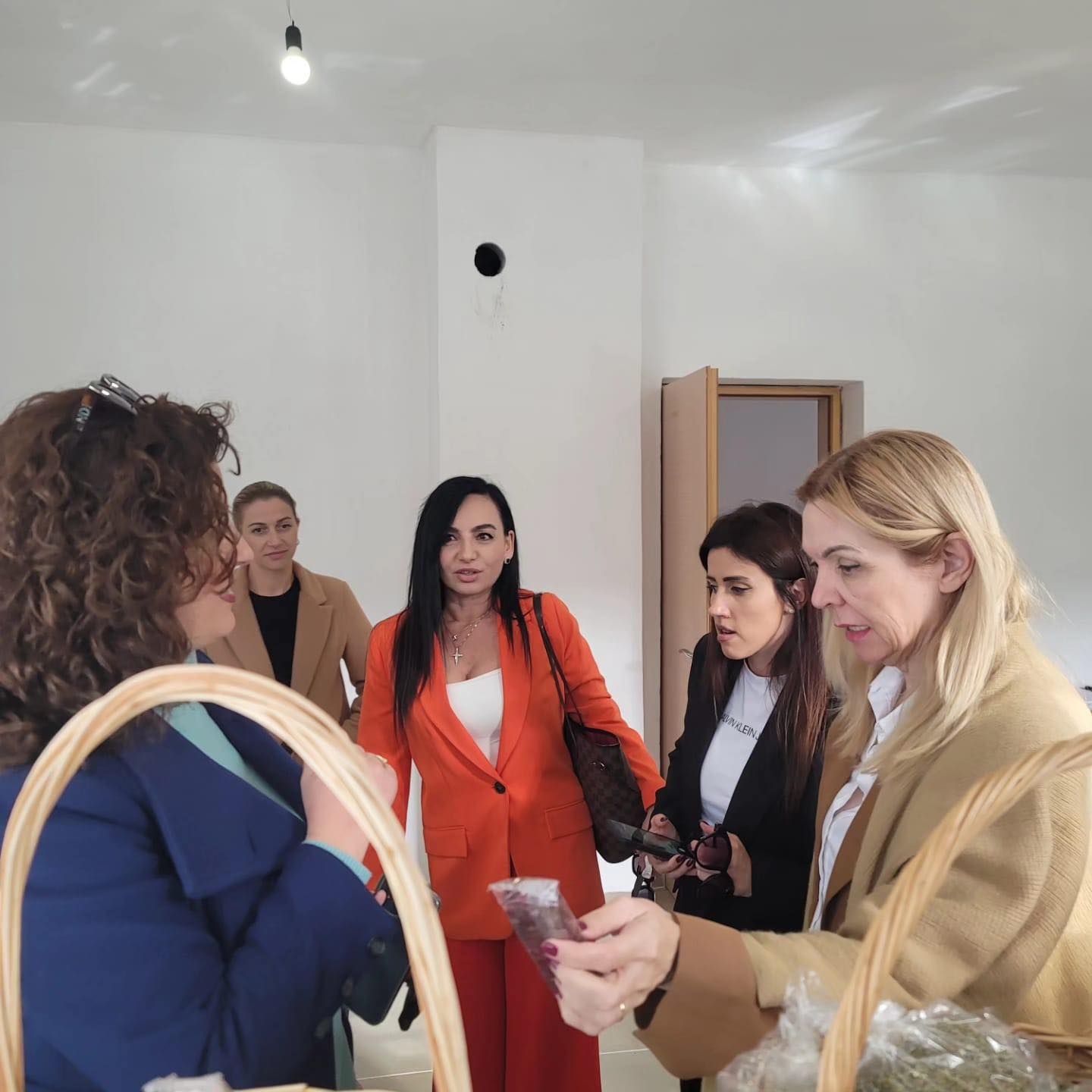 Mrs. Ane Sindik and her team visit Social-e Social Incubator Development Center in Dervitsani